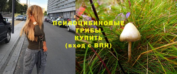 молекула духа Алзамай