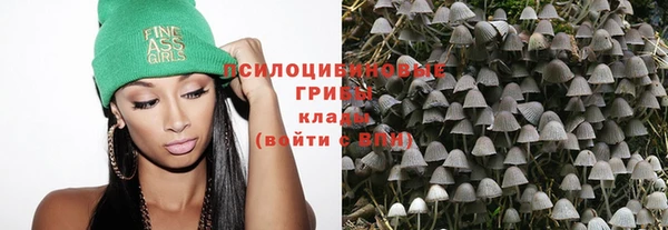крисы Алексеевка